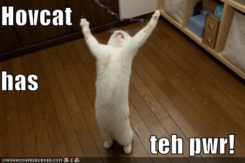 Hovcat Rulz